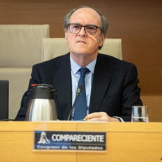 El Defensor recurre ante el TC la suspensión del derecho a voto por la ley de Nietos